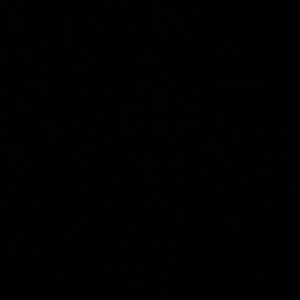 Meet your Posher, Royal